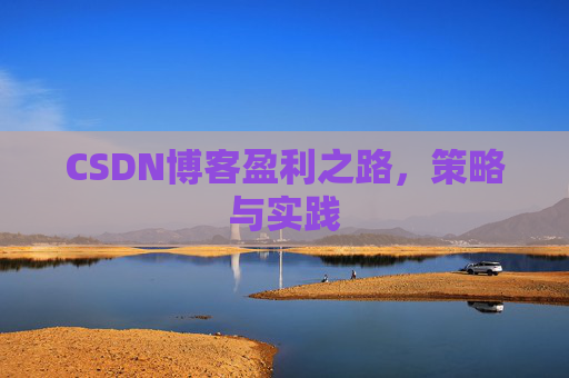 CSDN博客盈利之路，策略与实践